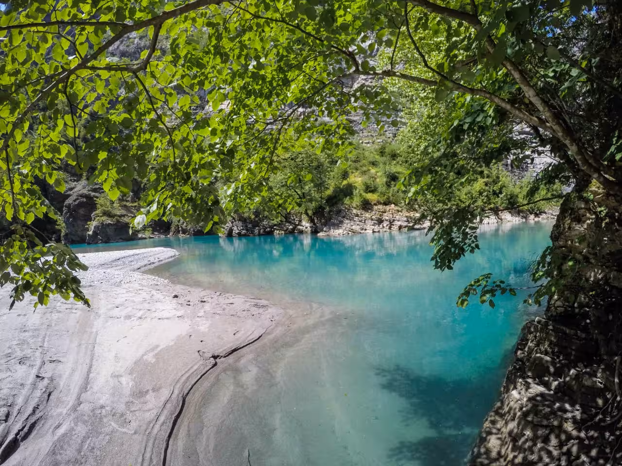Shala River Swimming